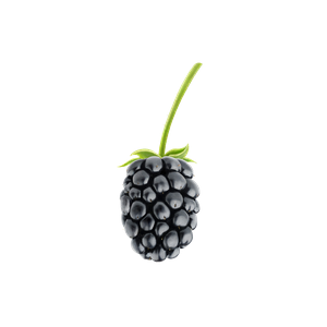 Blackberry PNG-26559